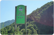 영천리 산촌생태마을 사진1
