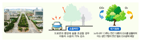 도로변에 형성된 가로수길의 효과는 소음차단효과(도로변과 중앙에 숲을 조성할 경우 자동차 소음의 75% 감소), 대기정화(느티나무 1그루는 연간 1.8톤의 산소를 방출하며 이는 성인 7명의 연간 필요 산소량에 해당)가 있다