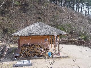 [봄] 안동호반 자연휴양림