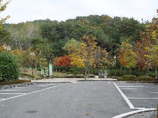 [가을] 산림과학박물관 주차장
