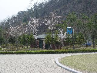 [봄] 산림과학박물관