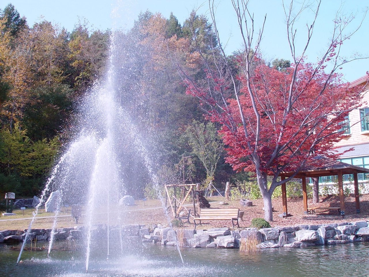 가을 산림생태과학원앞 연못
