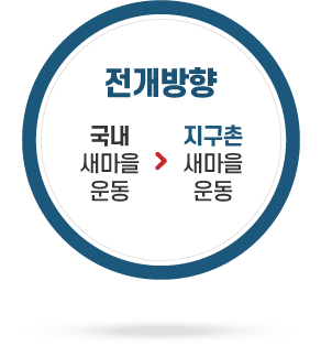 전개방향-국내 새마을운동에서 지구촌 새마을운동