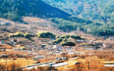 밀양율림/고려시대