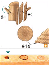 옹이