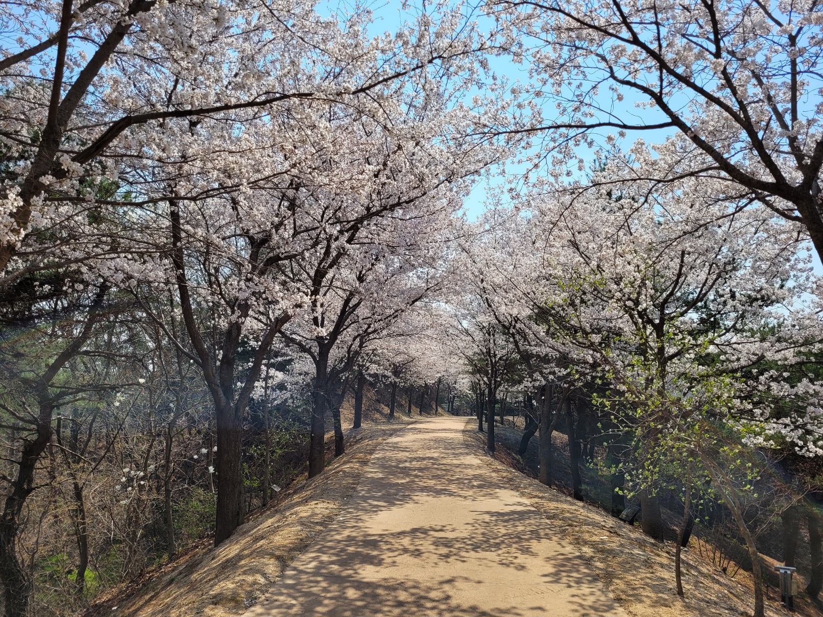 산호정길