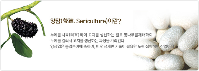 양잠(養蠶,Sericulture)이란? 누에를 사육(飼育)하여 고치를 생산하는 일로 뽕나무를 재배하여 누에를 길러서 고치를 생산하는 과정을 가리킨다. 양잠업은 농업분야에 속하며, 매우 섬세한 기술이 필요한 노력 집약적인 산업이다.