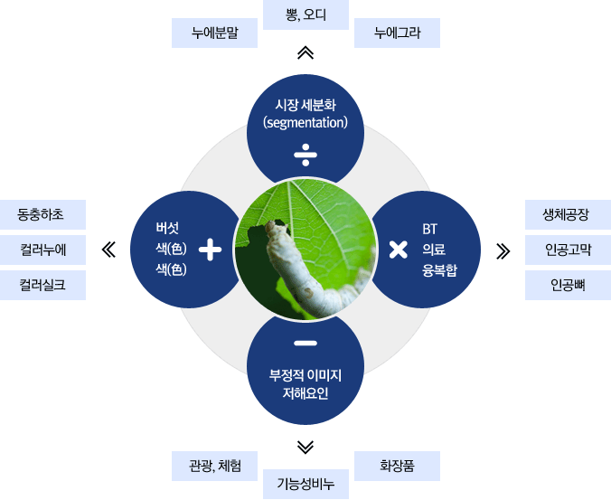 누에 + 버섯, 색(色), 색(色) = 동충하초, 컬러누에, 컬러실크 / 누에 ÷ 시장세분화(segmentation) = 누에분말, 뽕, 오디, 누에그라 / 누에 × BT, 의료와 융복합 = 생체공장, 인공고막, 인공뼈 / 누에 - 부정적이미지, 저해요인 = 관광, 체험, 기능성비누, 화장품