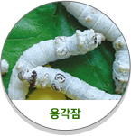 용각잠