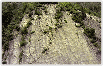 스트로마톨라이트(Stromatolite)