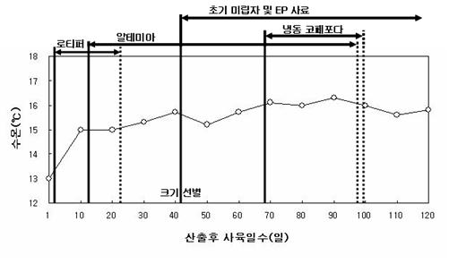 볼락 자치어 사육시 수온 및 먹이계열 - A.부가설명은 상단 '볼락 자치어 사육시 수온 및 먹이계열' 참고 