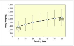 사육일수별 중량변화