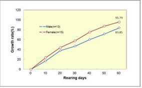 암수별 성장률