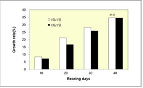 먹이공급횟수별 성장률