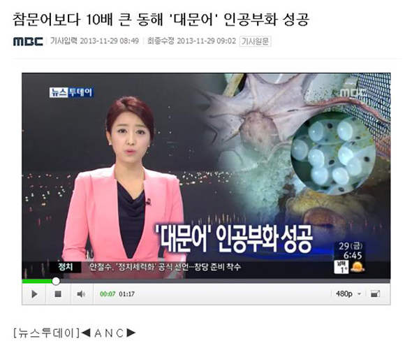 동해특산 대문어 시험·연구 < 종자생산연구 < 종자생산 < 수산자원연구원 < 해양수산 메인