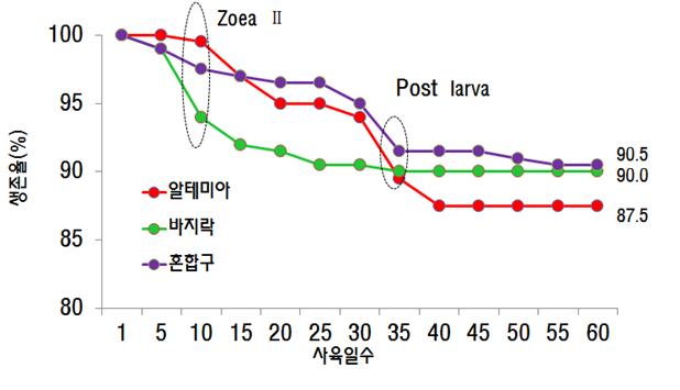 그림 6. 먹이 종류별 생존율(사육일수 60일 이후) - 알테미아(87.5%), 바지락(90%), 혼합구(90.5%)