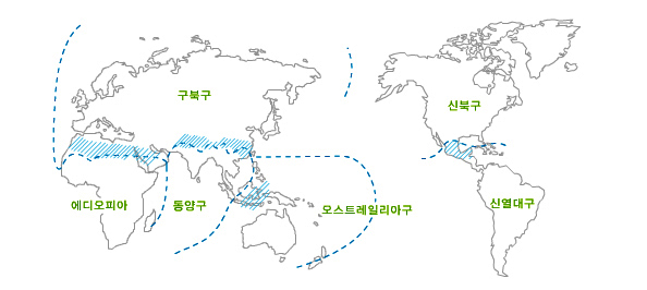 열대지역 민물고기 세계지도 - 구북구, 에디오피아, 동양구, 오스트레일리아구, 신북구, 신열대구로 이루어져 있습니다.