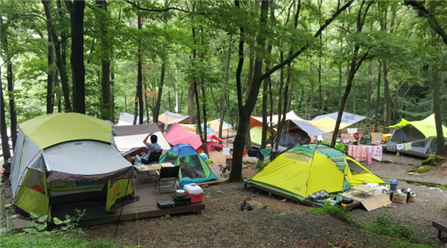 봉화 창평 산림욕장