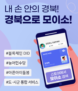 내 손 안의 경북! 경북으로 모이소! 블록체인DID, 농어민수당, 아픈아이돌봄, 도시군 통합서비스, 스토어에서 모이소 검색