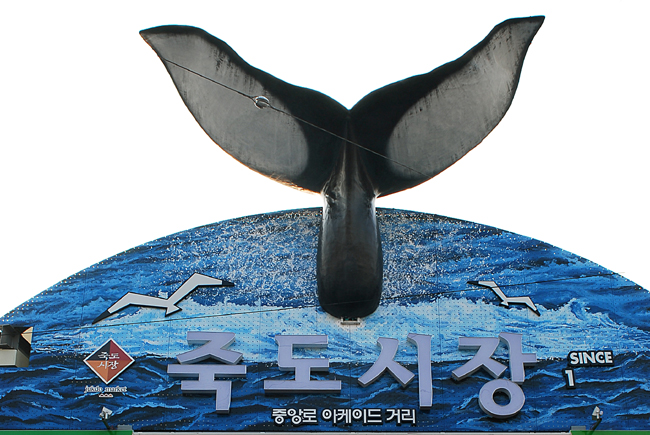 포항 - 죽도시장회타운