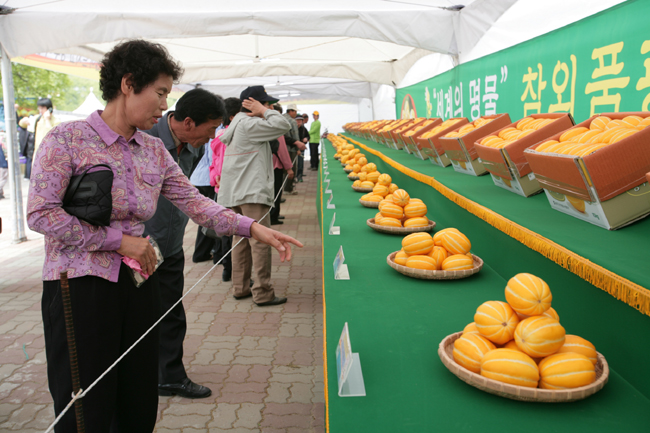 성주생명문화축제 참외품평회