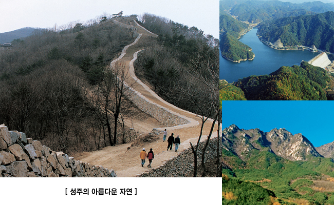 성주 관련사진