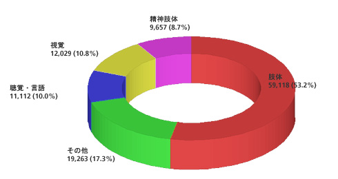 残疾人-59,118(53.2%),其他-19,263(17.3%), 言語ㆍ聽覺-11,112(10.0%), 视觉-12,029(10.8%), 精神疾患-9,657(8,7%)