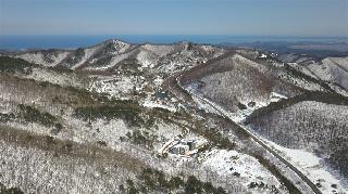 수목원 겨울전경