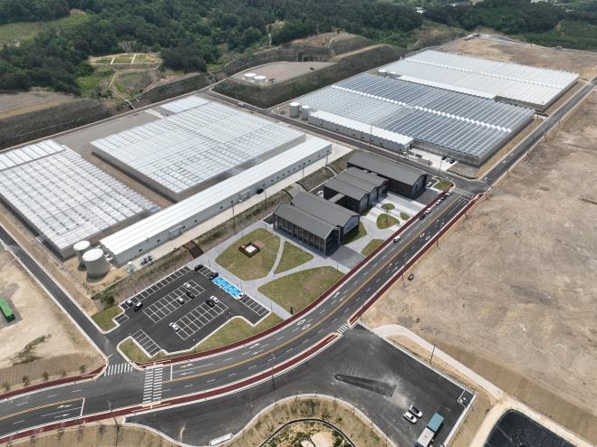 다축형 사과원.jpeg