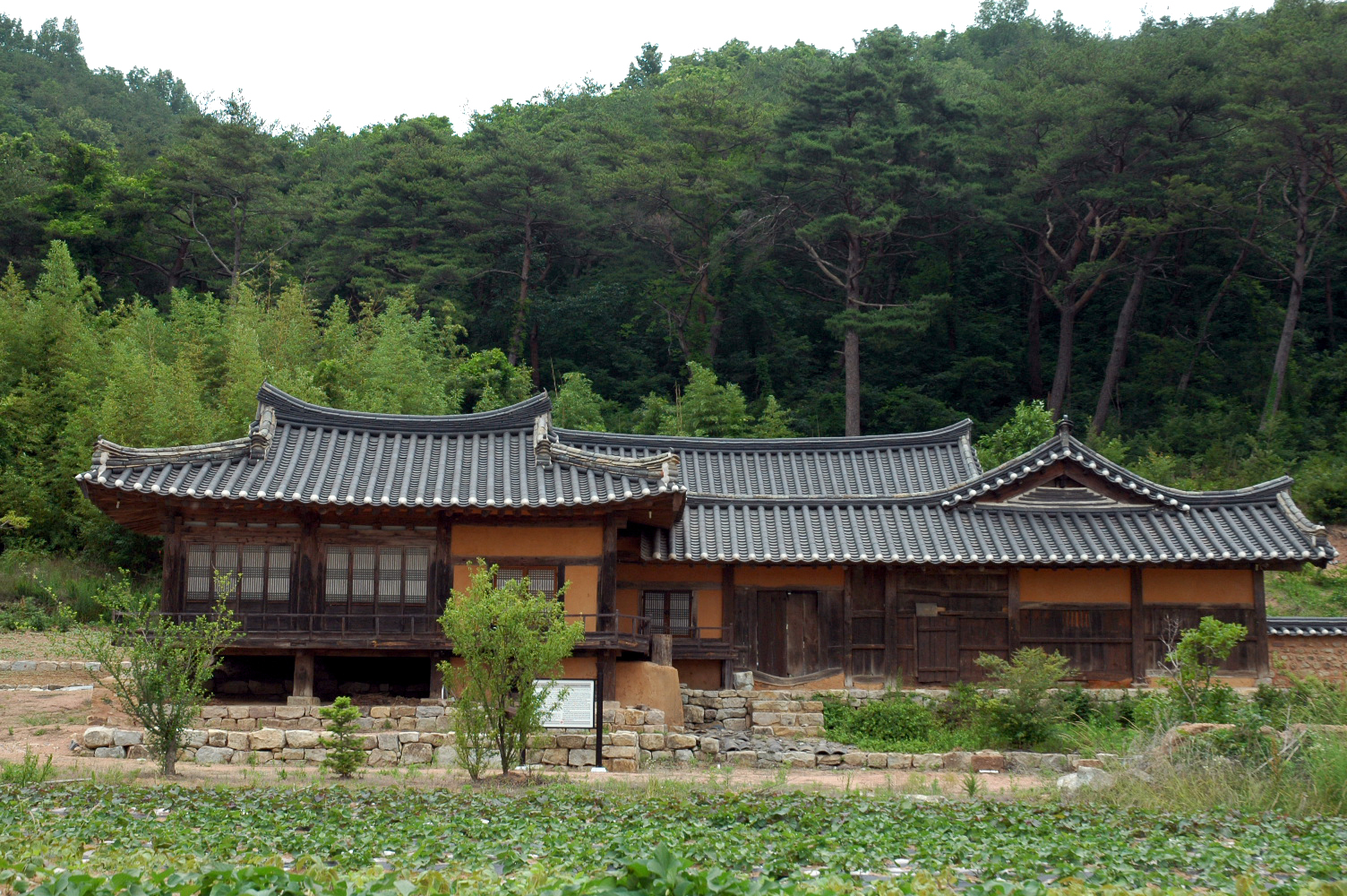 영덕 삼벽당_1