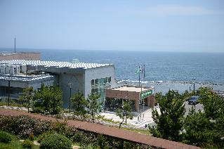 사방교육기술센터 뒷편