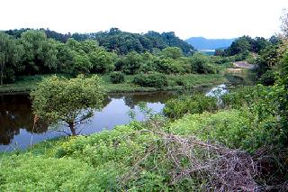 충주호