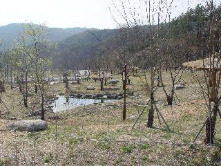 [봄] 야생동물 보호센터