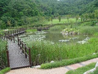 [여름] 소득형 생태숲 연못