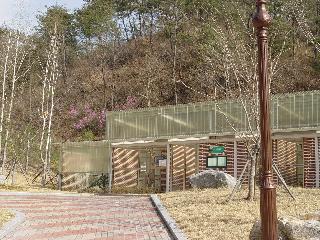 [봄] 야생동물 보호센터