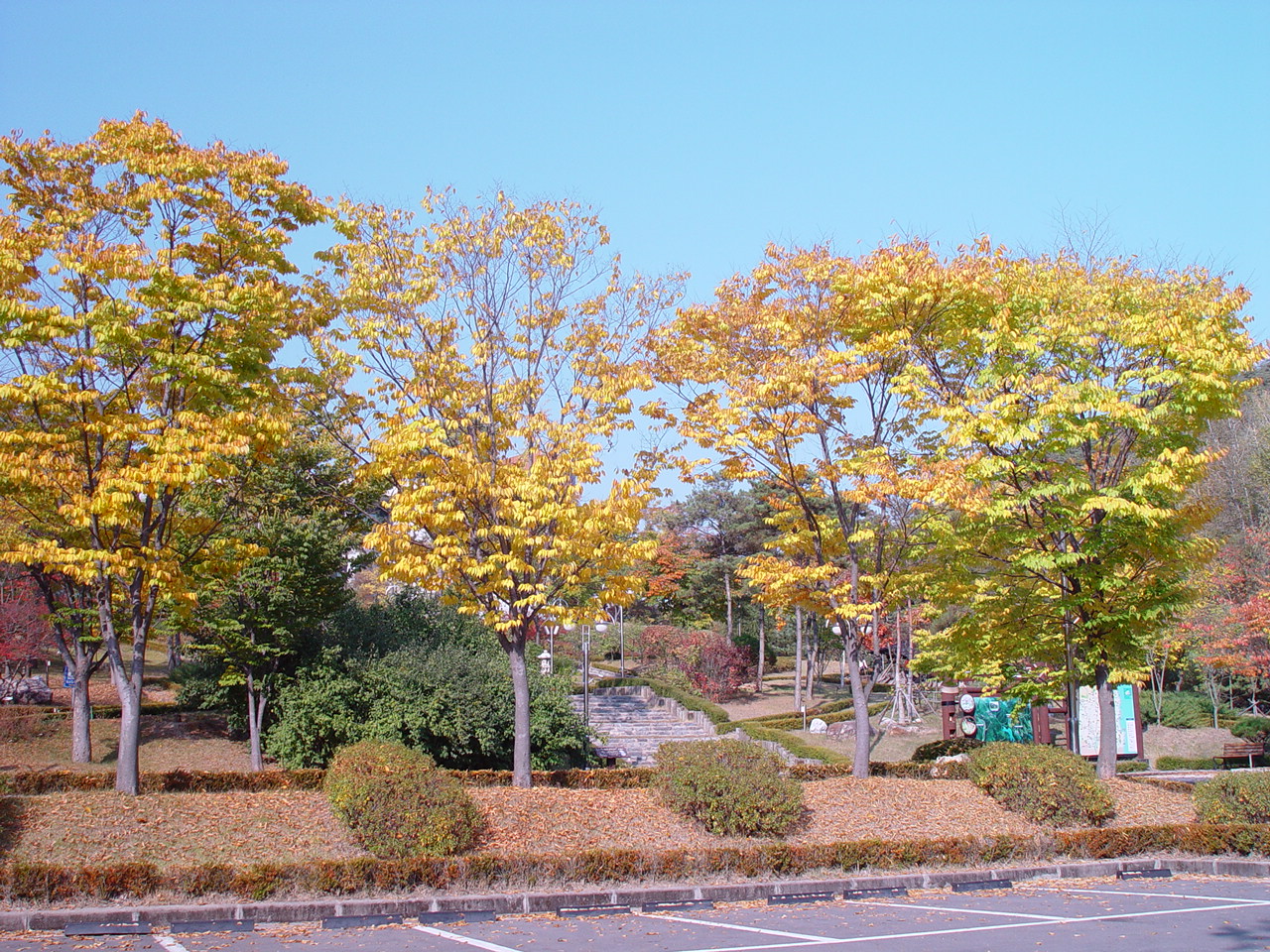 산림과학박물관의가을