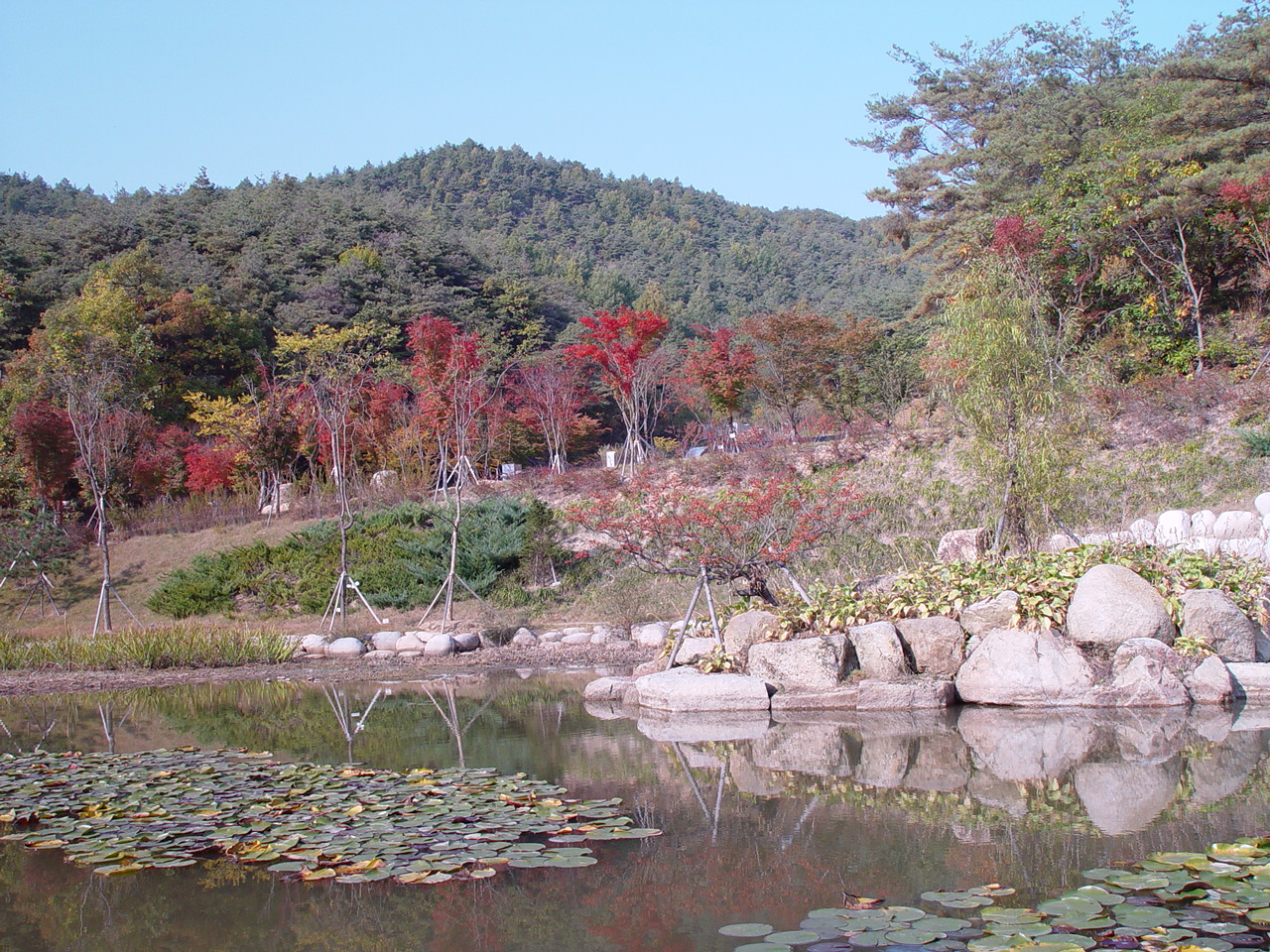 가을의 소득형생태숲의연못