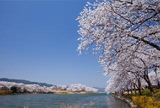 Protect the environment and save money on your trip to Gyeongsangbuk-do!!