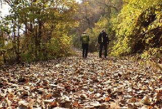 Songnisan Dullegul between Sangju-Mungyeong, now a national forest trail