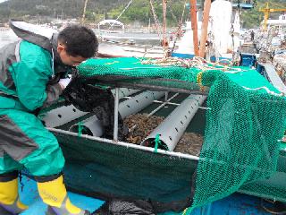 해삼 침하식 양식-7월 수중찰영(2)