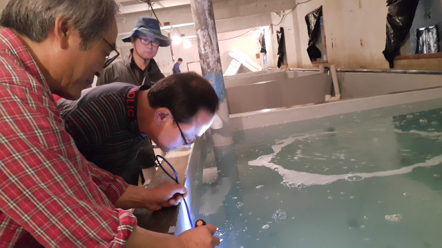 울릉도 시험어장 현장 방문 4