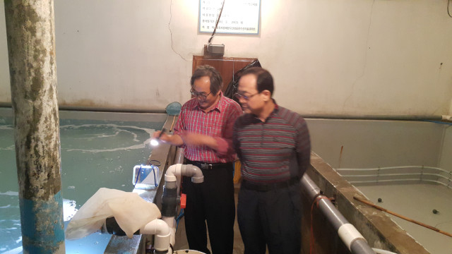 울릉도 시험어장 현장 방문 1