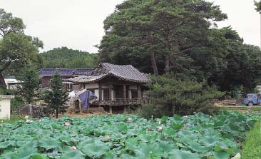 陶巖亭(?田村)