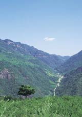 淸凉山溪谷