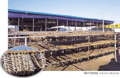 秋刀魚干し場の全景