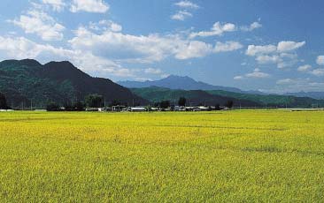 咸昌野原