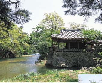 草澗亭(夏の全景)