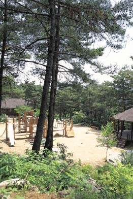 七寶山自然休養林