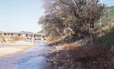 三つ角橋