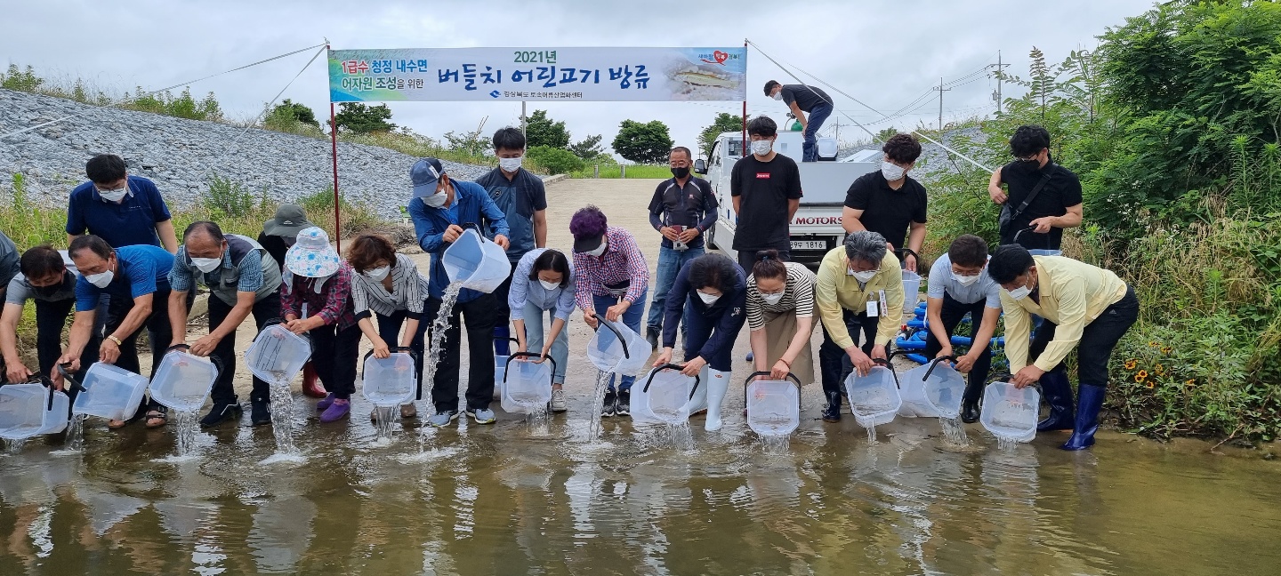 버들치 어린고기를 방류하는 모습